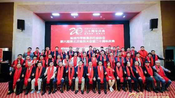CA88科技受邀参加深圳市平板显示行业协会（SDIA）第六届第四次理事会、第六届第三次会员大会暨二十周年庆典